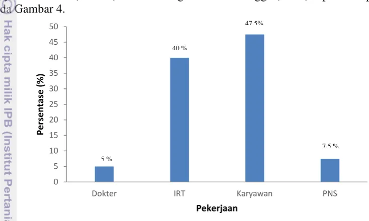 Gambar 4 Pengelompokan pekerjaan responden