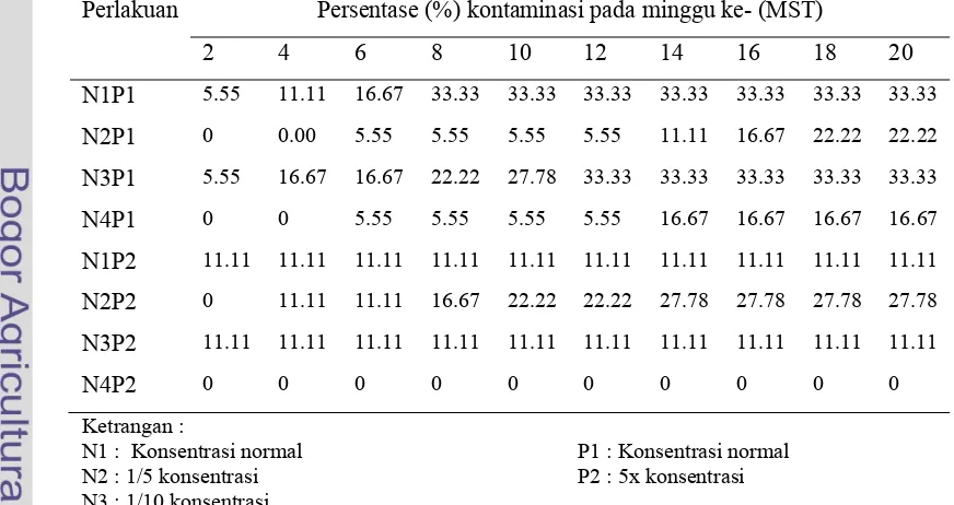 Tabel 4. Persentase Kontaminasi Kultur Cymbidium Varietas Lovely Angel Secara In Vitro Selama Pengamatan di Media Perlakuan Nitrogen dengan Fosfor sampai dengan 20 MST 