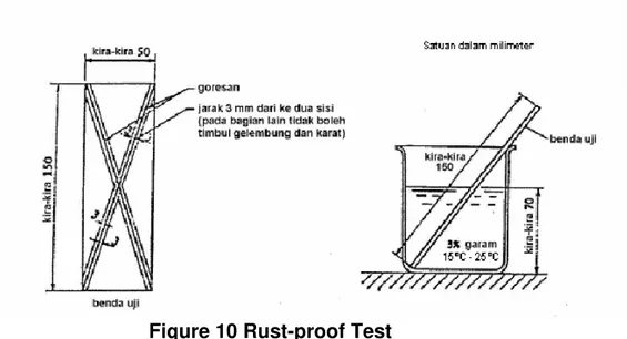 Figure 10 Rust-proof Test 