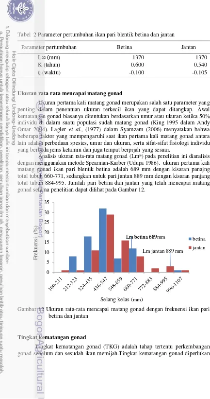 Tabel  2 Parameter pertumbuhan ikan pari blentik betina dan jantan 