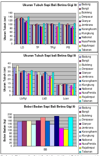 Gambar 4. Histogram karakteristik sifat kuantitatif sapi Bali betina umur ≤ 1tahun (gigi I0) antar Kabupaten Raja Ampat, 10 Kabupaten di Balidan BPTP Naibonat, NTT.