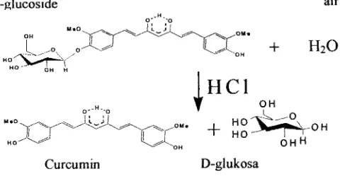 Gambar 2. Mekanisme reaksi hidrolisis glukosida kurkumin