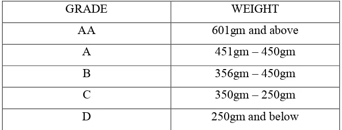 Table 1.1: Difference types of dragon fruit weights and sizes. 