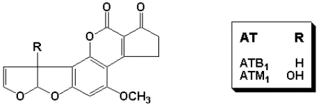 Gambar 3.  Struktur Kimia Aflatoksin B1 dan M1 (Anonim, 2007) 
