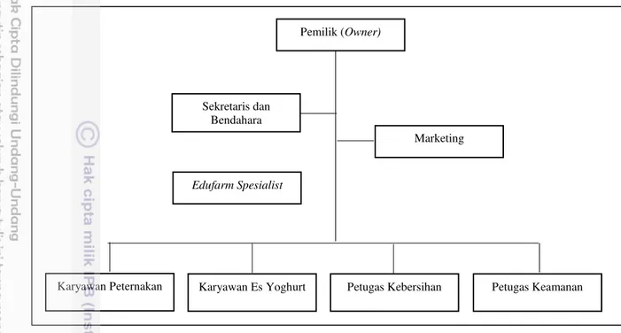 Gambar 3 Struktur Organisasi Sentulfresh Indonesia 