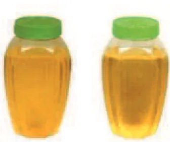 Gambar 1. Minyak Jarak Pagar (Jatropha curcas oil) 