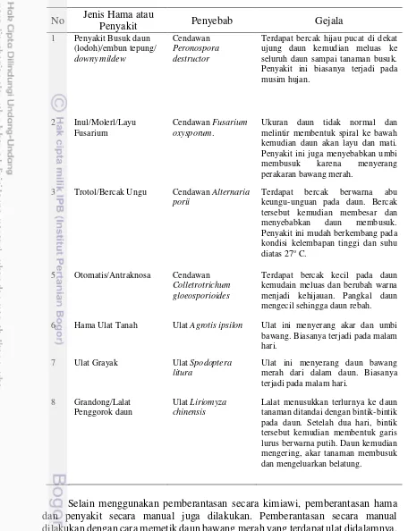 Tabel 7  Identifikasi hama dan penyakit pada tanaman bawang merah yang terjadi di Kabupaten Cirebon, Brebes, dan Tegal 