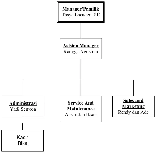 Gambar 3.1. Struktur Organisasi CV.Tasya Lacaden 