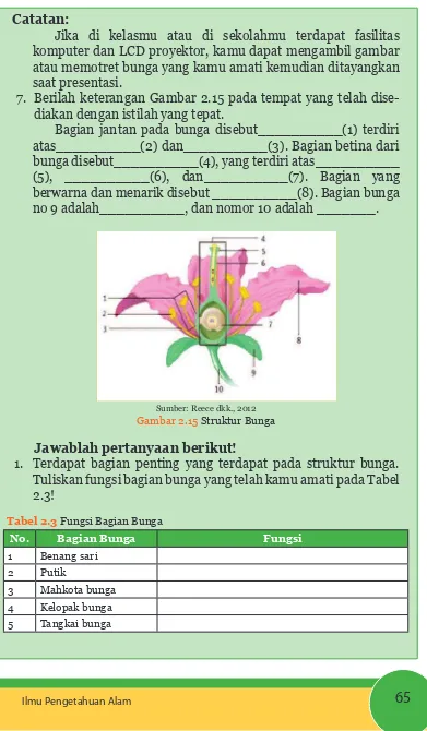 Gambar 2.15 Struktur Bunga