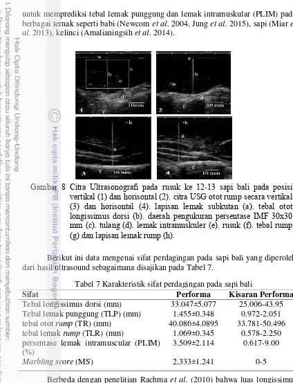 Gambar 8 Citra Ultrasonografi pada rusuk ke 1β-1γ sapi bali pada posisi 