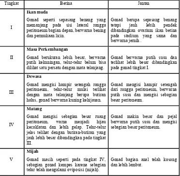 Tabel 2. Tingkat kematangan gonad ikan kapiek (P. schwanefeldi Bleeker)  