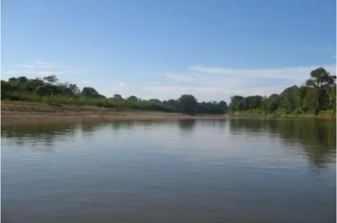 Gambar 5.  Keadaan perairan Sungai Musi 