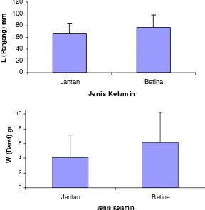 Gambar 6. Komposisi tangkapan ikan senggiringan (P. johorensis) jantan dan betina pada bulan Juli 2006