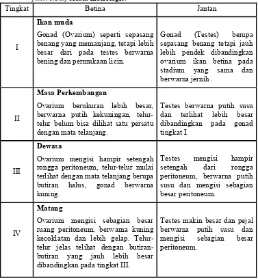 Tabel 3. Hasil pengamatan tingkat kematangan gonad ikan senggiringan (P. johorensis) secara morfologis