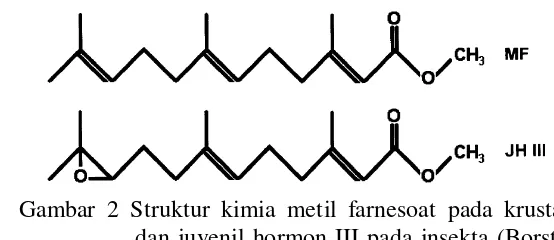 Gambar 2 Struktur kimia metil farnesoat pada krustase 