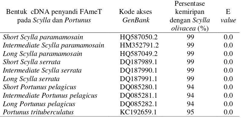 Tabel 1  Analisis kesamaan urutan oligonukleotida cDNA penyandi FAmeT S. olivacea dengan beberapa krustasea lain 