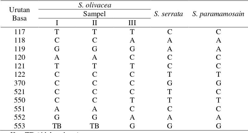 Gambar 10 Posisi dan lokasi perbedaan basa nukleotida cDNA penyandi FAmeT              S