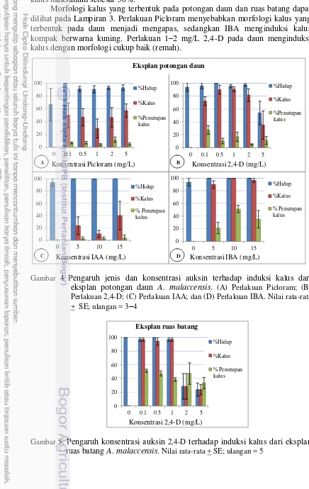 Gambar 4 Pengaruh jenis dan konsentrasi auksin terhadap induksi kalus dari 