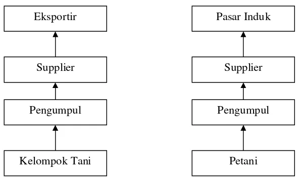 Gambar 3. Alur Pemasaran Pisang di Indonesia Secara UmumSumber: Direktorat Jenderal Hortikultura (2008)