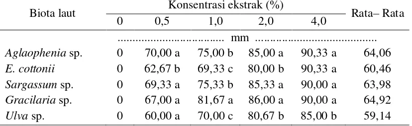 Gambar 1. Hasil Uji Pendahuluan Daya Hambat Ekstrak Kasar Aglaophenia sp. dengan Konsentrasi 4,0% terhadap Jamur A