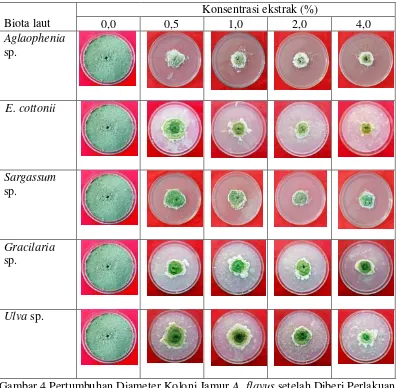 Tabel 5 Daya Hambat Ekstrak Kasar Biota Laut terhadap Pertumbuhan Koloni Jamur Penicillium sp