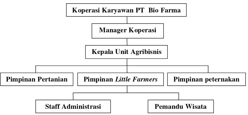 Gambar 3. Struktur Organisasi Agrowisata Little Farmers