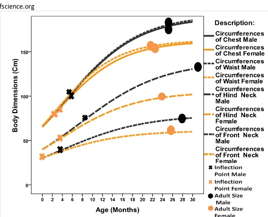 Fig 3.6: Sigmoid Curves of Chest, Waist, Rear and Fore Part of Neck Circumferences of Bali Cattle 