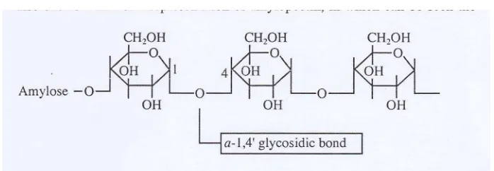 Gambar 1. Struktur amilosa (Cornell, 2004) 