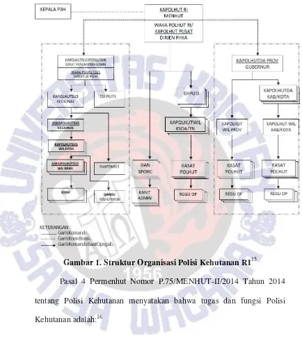 Gambar 1. Struktur Organisasi Polisi Kehutanan RI15 