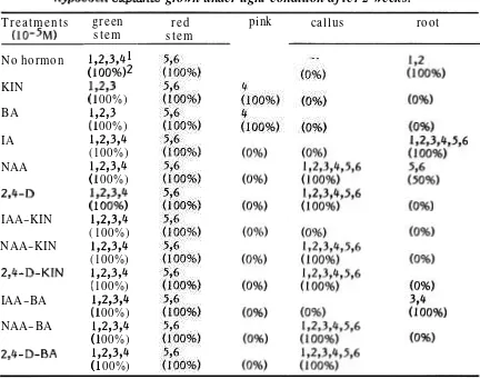 Table 1. The effects of various plant growth regulatorson red pigment formation, callus and root format ion of six-cultivars of Yolygonum tinchtorium Ait hypocotil explants grown under light condition after 2 weeks