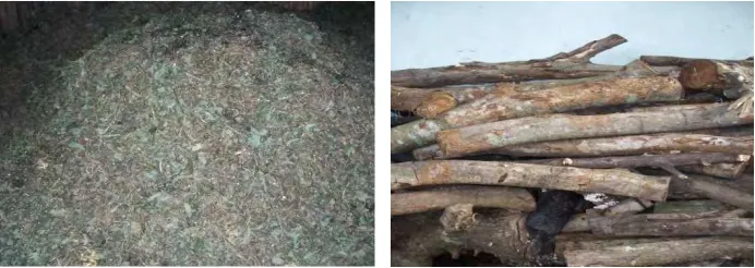 Gambar 2. Nilam Kering dan Kayu Bakar 