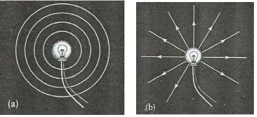 Gambar 1.2 (a). Muka gelombang cahaya; (b) Sinar cahaya