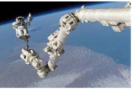 Figure 2.2 : Canada Arm 