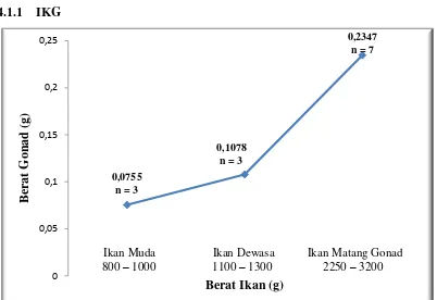 Gambar 7. Grafik hubungan antara berat ikan dengan berat gonad. 