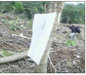 Gambar 3. Tali rapiah, alat tulis,  