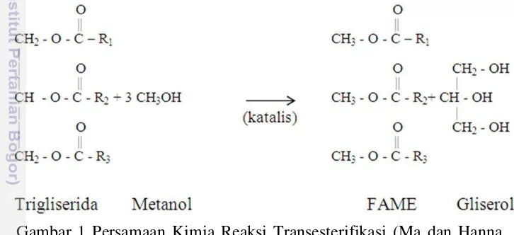 Gambar 1 Persamaan Kimia Reaksi Transesterifikasi (Ma dan Hanna 
