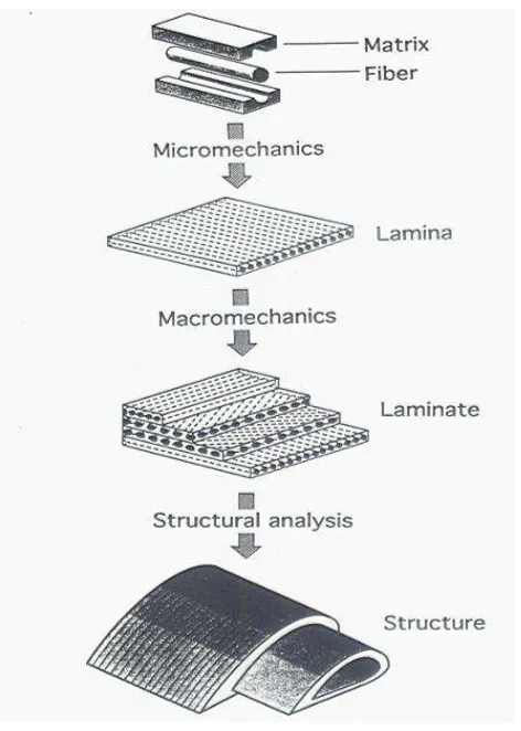 Figure 2.3 Levels of observation and types of analysis for composite 