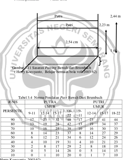 Gambar 3.11 Sasaran Passing Bawah dari Brumbach                                                              