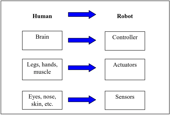 Figure 1.1: Comparison between human and robot 