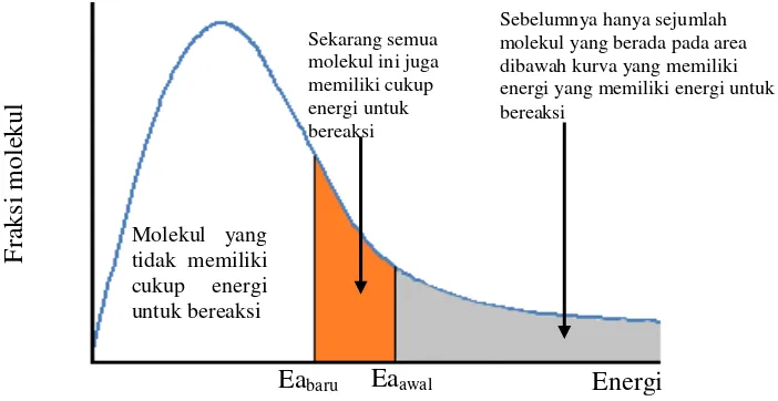 Gambar 3 Pengaruh katalis terhadap energi aktivasi (Clark 2004). 