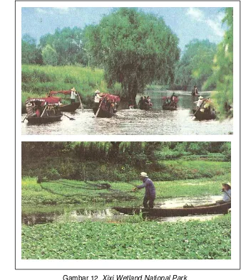 Gambar 12. Xixi Wetland National Park 