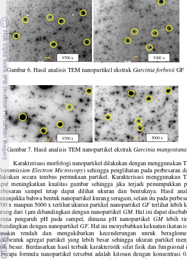 Gambar 6. Hasil analisis TEM nanopartikel ekstrak Garcinia forbesii GF 