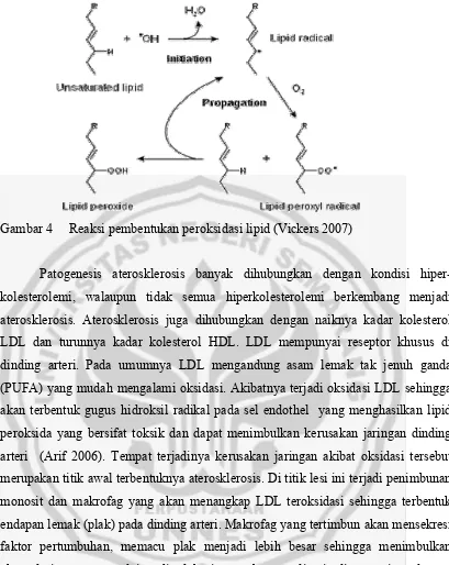 Gambar 4     Reaksi pembentukan peroksidasi lipid (Vickers 2007) 