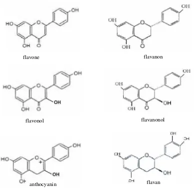 Gambar 1. Struktur kimia dari 6 kelas flavonoid (Peterson dan Dwyer, 2000)