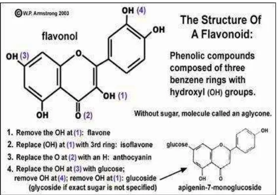 Gambar 2.7 Struktur Flavonoid  