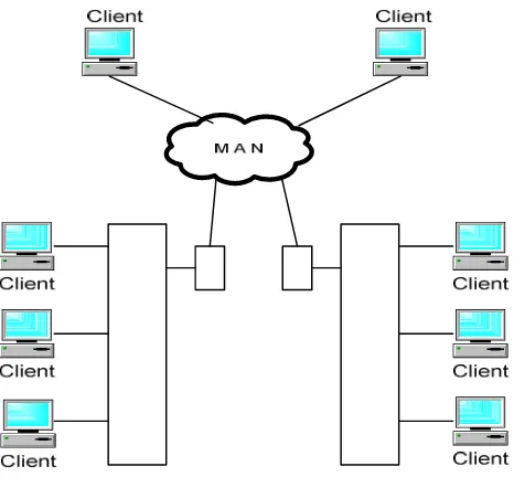 Gambar 2.3 jaringan MAN (Sumber : Ilmu Komputer) 