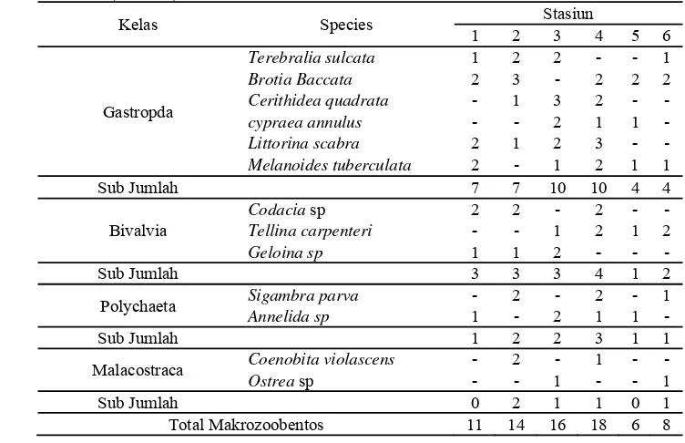 Tabel 6. Rata - rata jumlah Makrozoobentos selama penelitian antar stasiun   (ind/m2) 