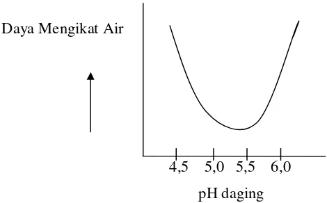 Gambar 1. Pengaruh pH terhadap Daya Mengikat Air 