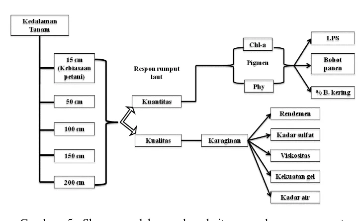 Gambar 6 Penempatan unit percobaan sesuai perlakuan 