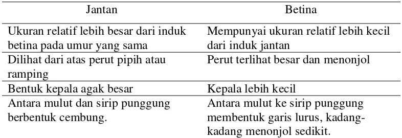 Tabel 1. Perbedaan jantan dan betina ikan maanvis Pterophyllum scalare  